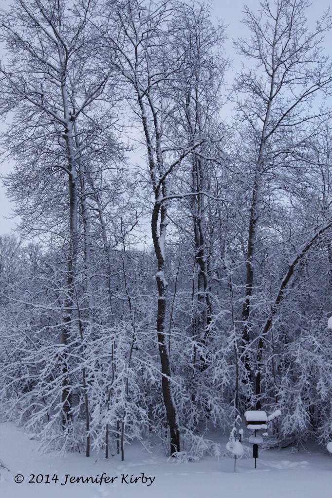Minnesota Winter Snow 2014